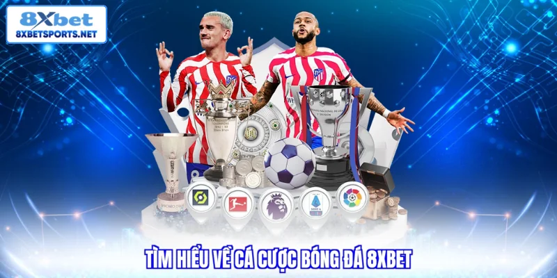 Tìm hiểu về cá cược bóng đá 8XBET 